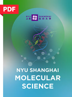  NYU Shanghai Molecular Science