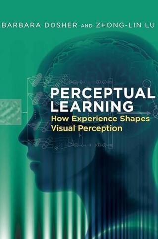 Perceptual Learning: How Experience Shapes Visual Perception