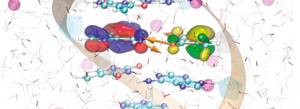 Sep 1 2023 New Computational Technique Investigates Charge Transfer in DNA