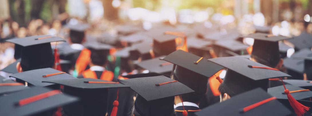 Does Higher Education Guarantee Higher Pay? Not For All
