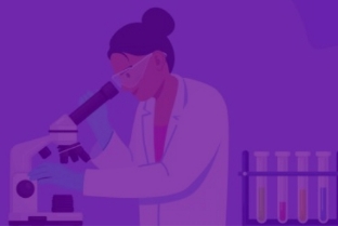 Research Highlights 2023-2024