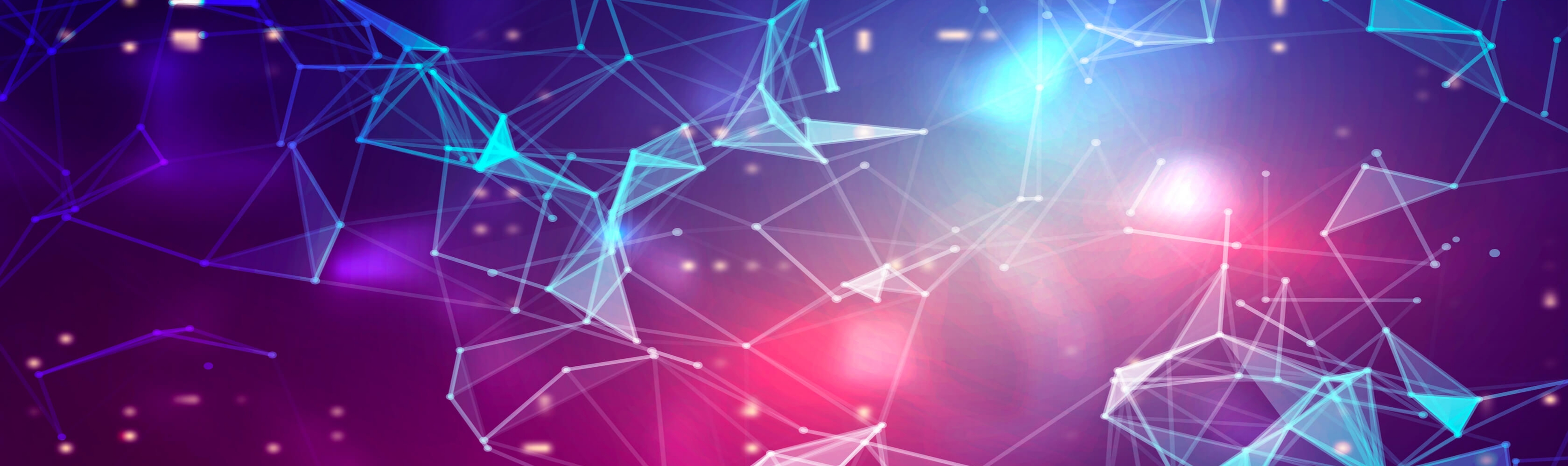 Research Highlights 2024-2025