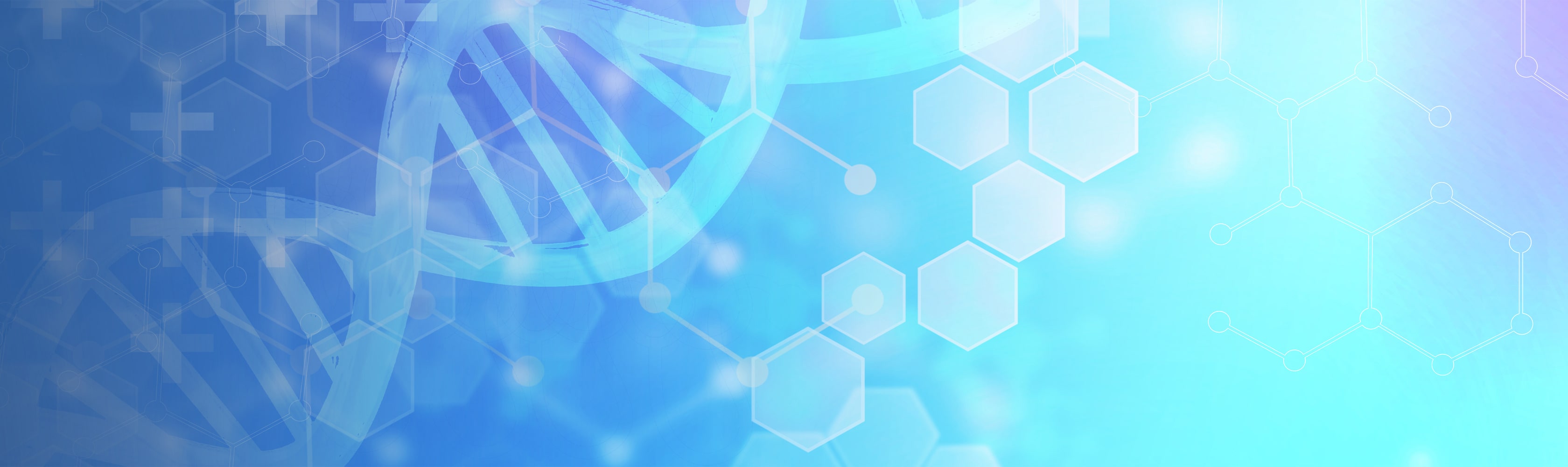 Summer Program (SRPMS)