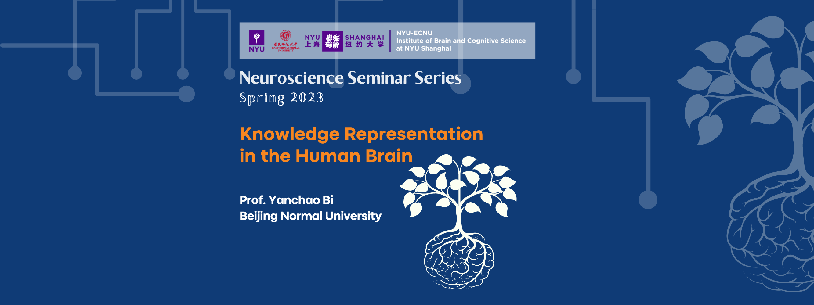 Knowledge Representation  in the Human Brain