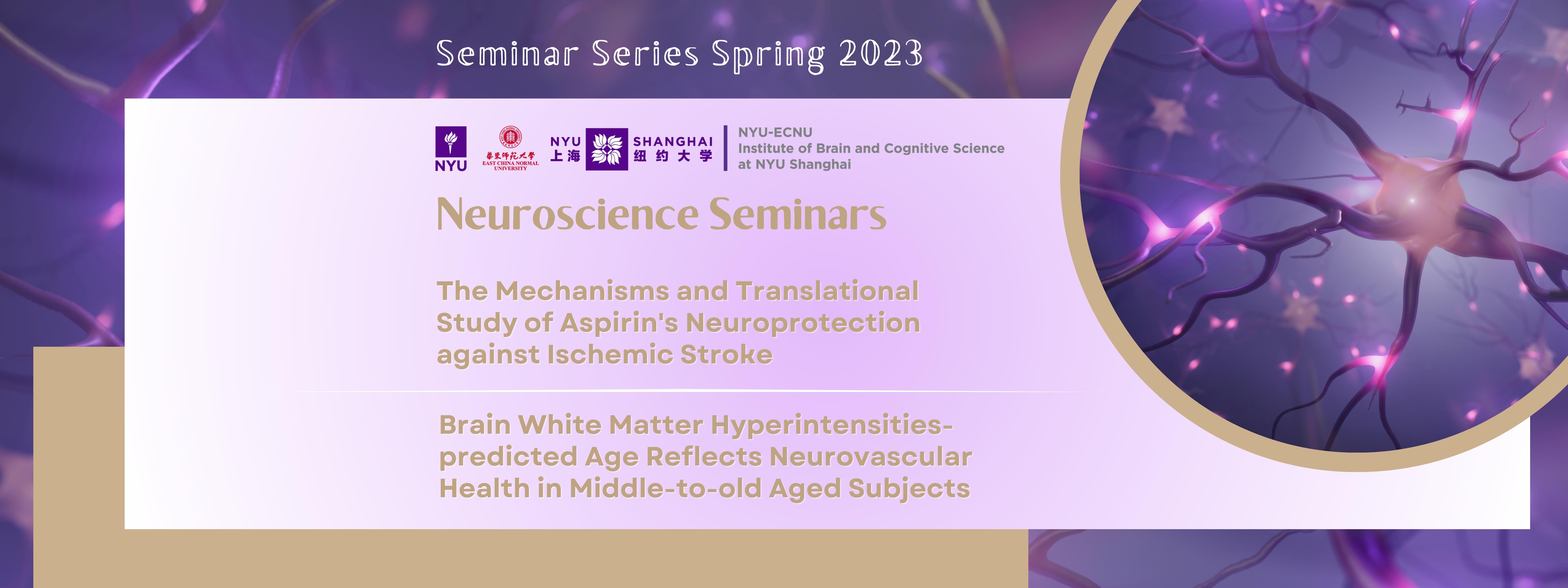 Neuroscience Seminars