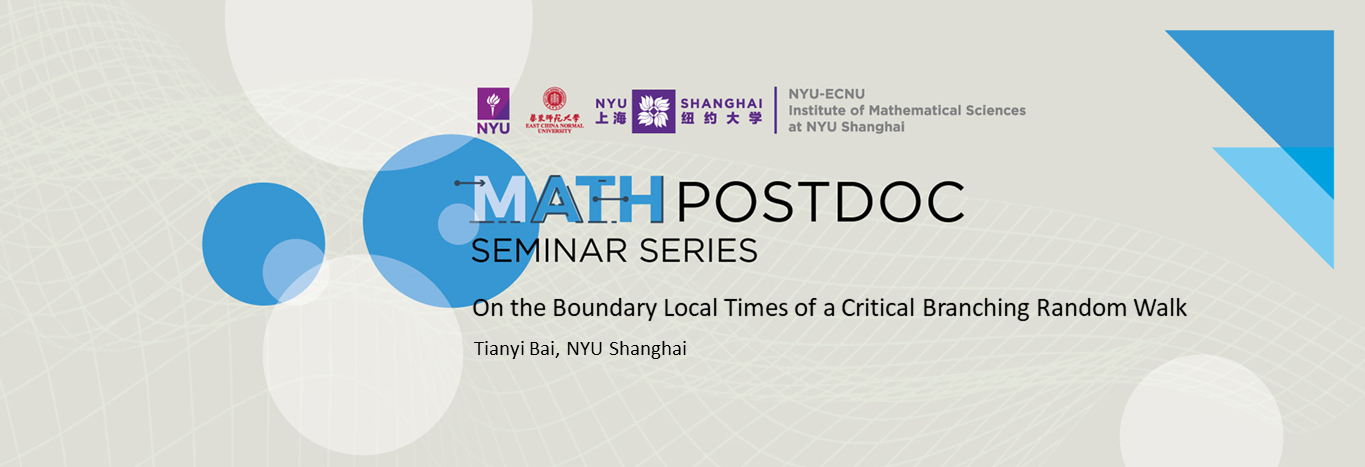 On the Boundary Local Times of a Critical Branching Random Walk