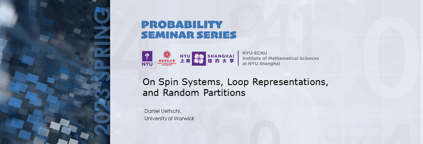 On Spin Systems, Loop Representations, and Random Partitions