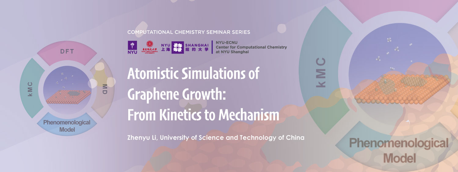 Atomistic Simulations of Graphene Growth: From Kinetics to Mechanism