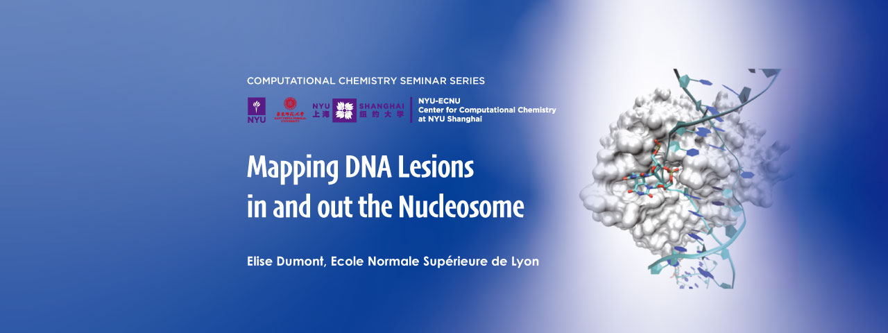 Mapping DNA Lesions in and out the Nucleosome