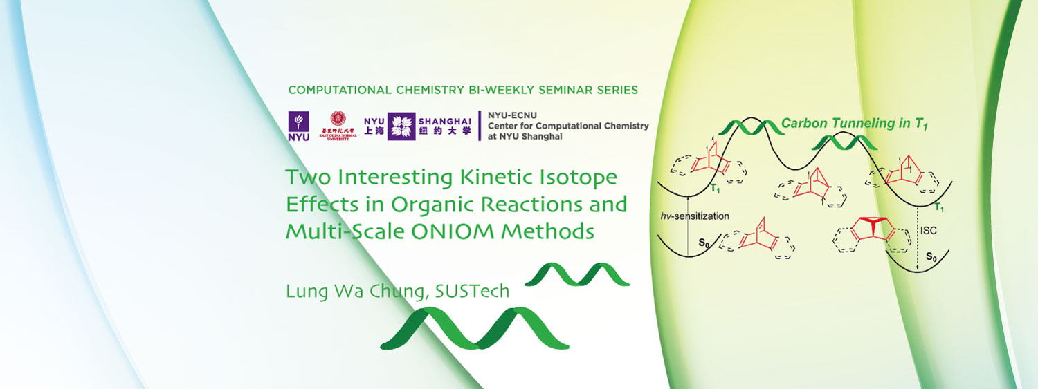Two Interesting Kinetic Isotope Effects in Organic Reactions and Multi-Scale ONIOM Methods