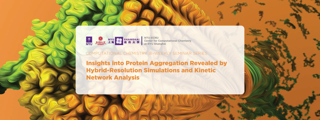 Insights into Protein Aggregation Revealed by Hybrid-Resolution Simulations&Kinetic Network Analysis