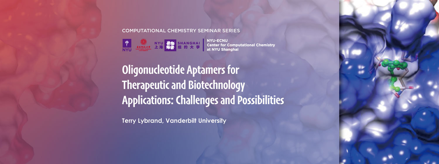 Oligonucleotide Aptamers for Therapeutic and Biotechnology Applications: Challenges and Possibilitie