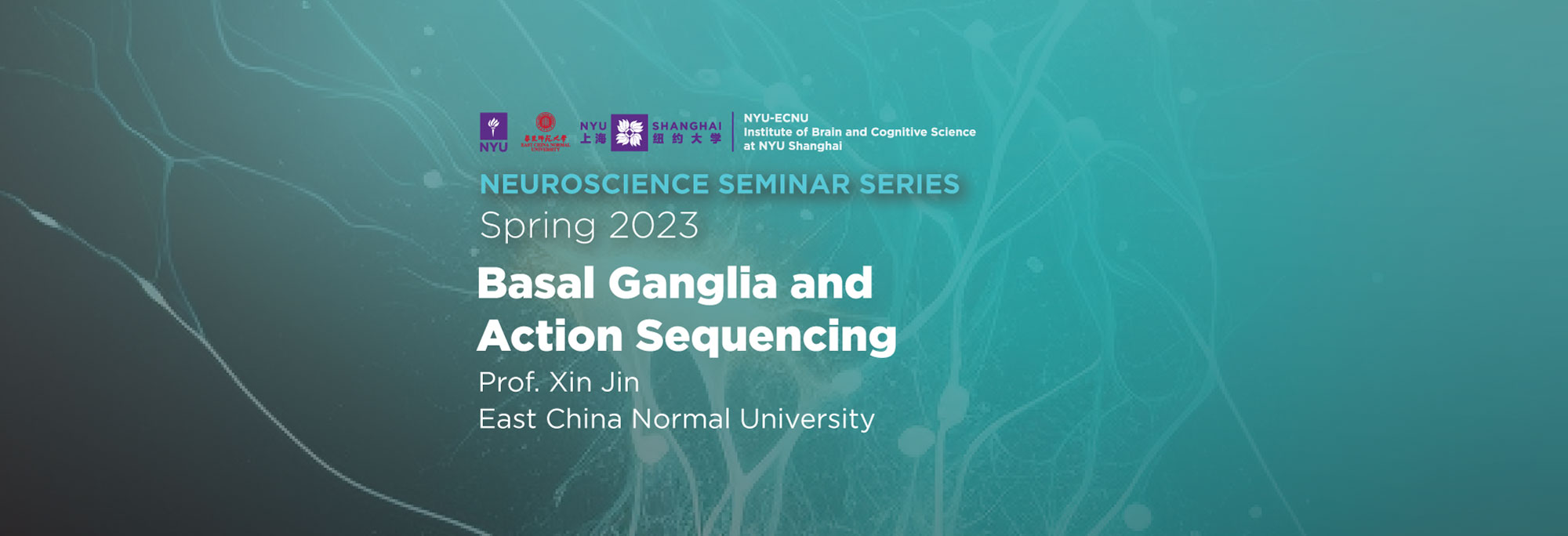 Basal ganglia and action sequencing
