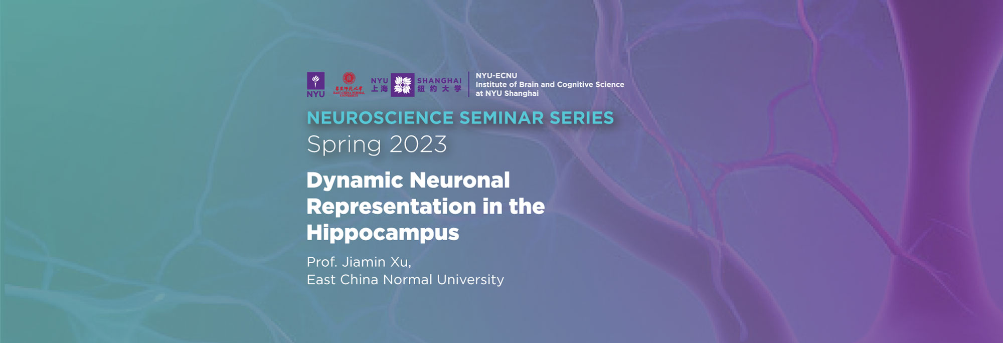Dynamic neuronal representation in the hippocampus