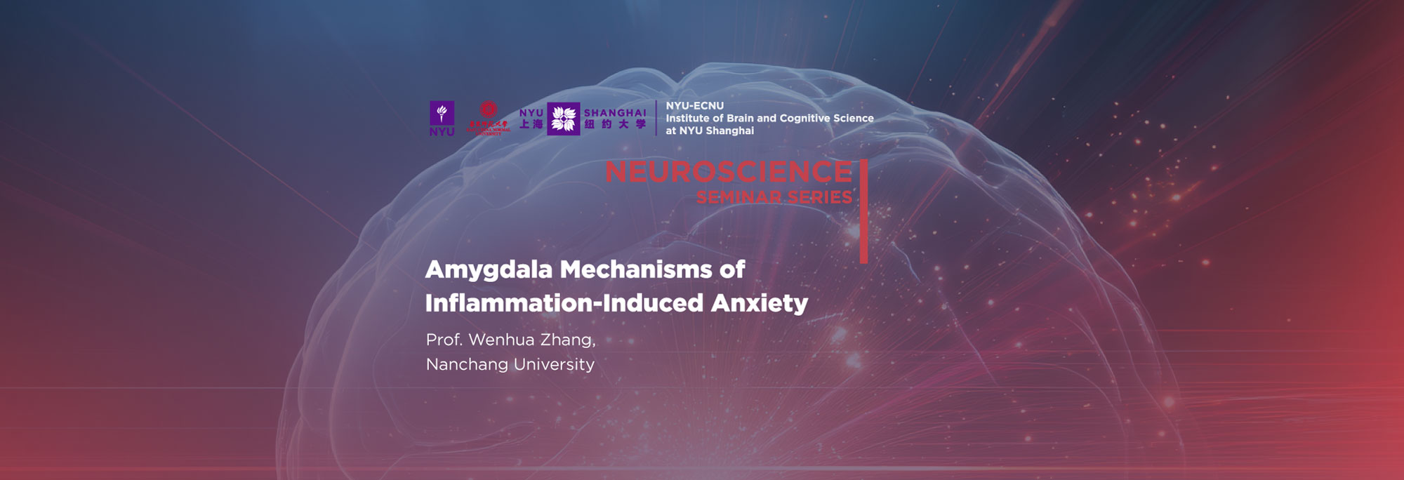 Amygdala Mechanisms of Inflammation-Induced Anxiety