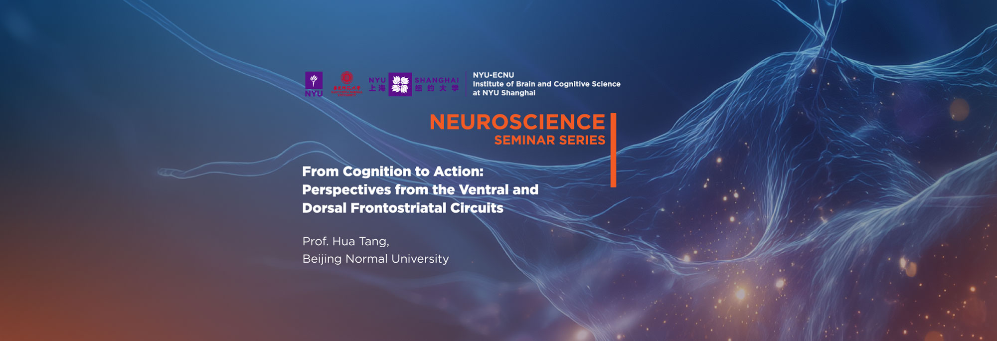 From Cognition to Action: Perspectives from the Ventral and Dorsal Frontostriatal Circuits