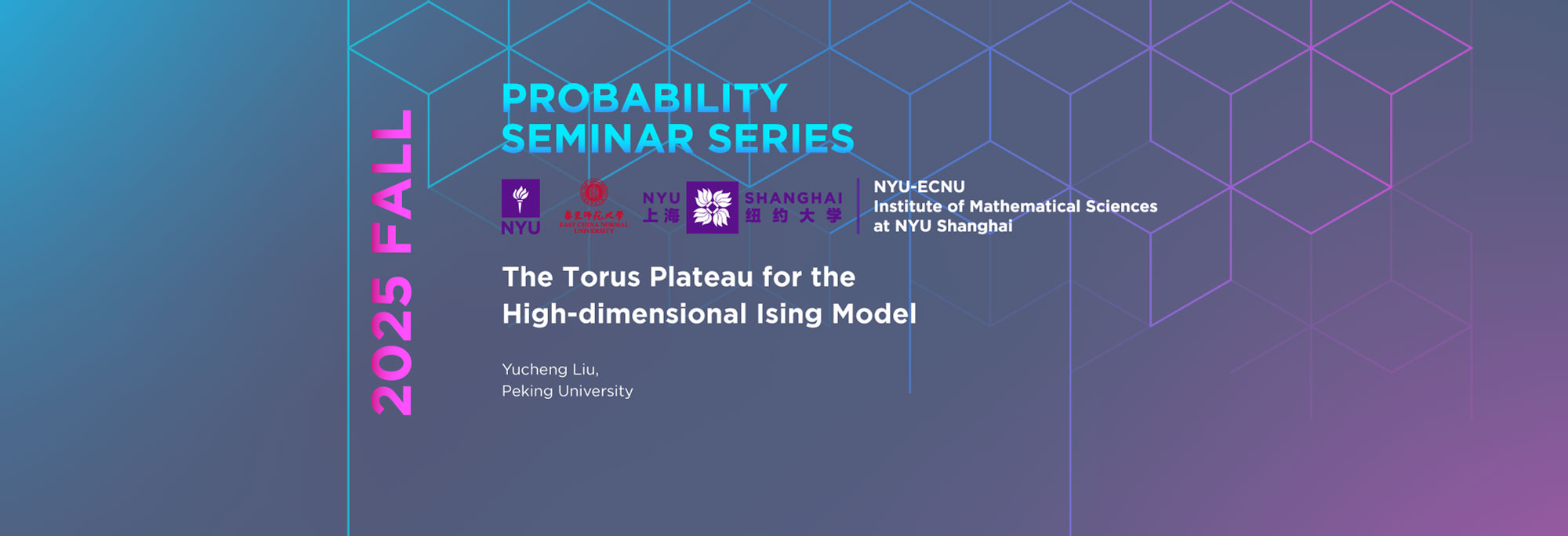The Torus Plateau for the High-dimensional Ising Model