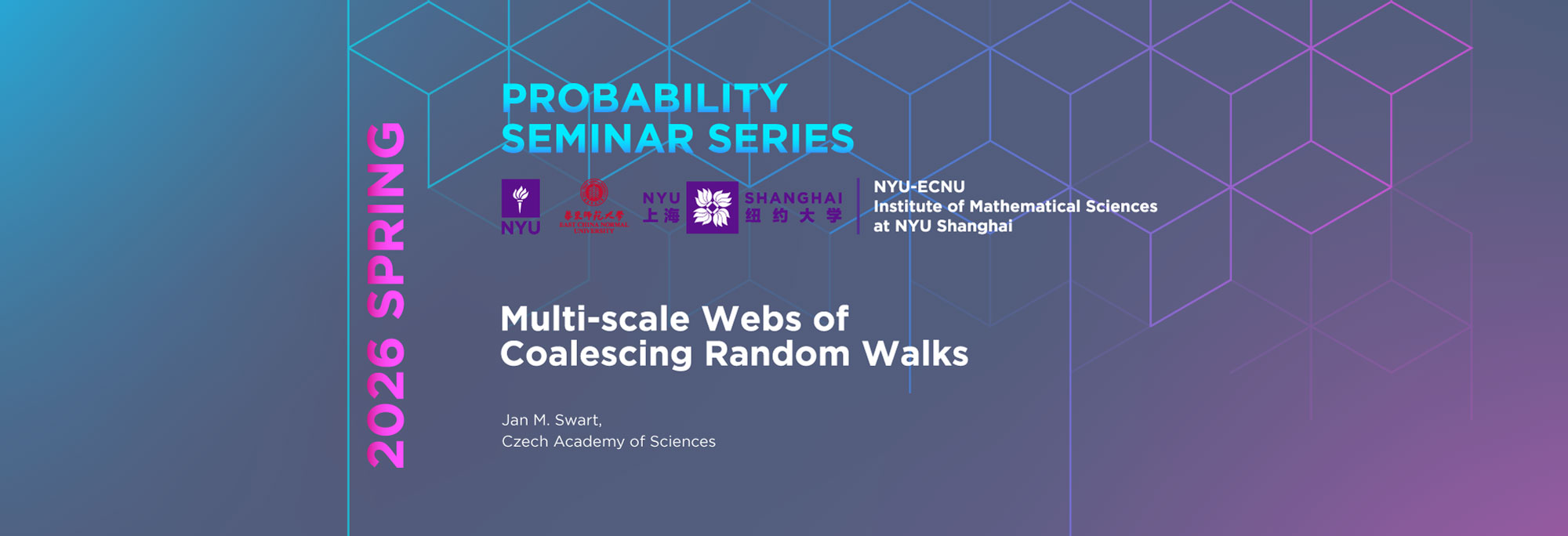 Multi-scale Webs of Coalescing Random Walks