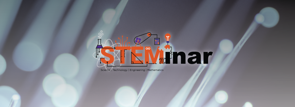 Connecting Human and Animal Research of Value-based Decision-making