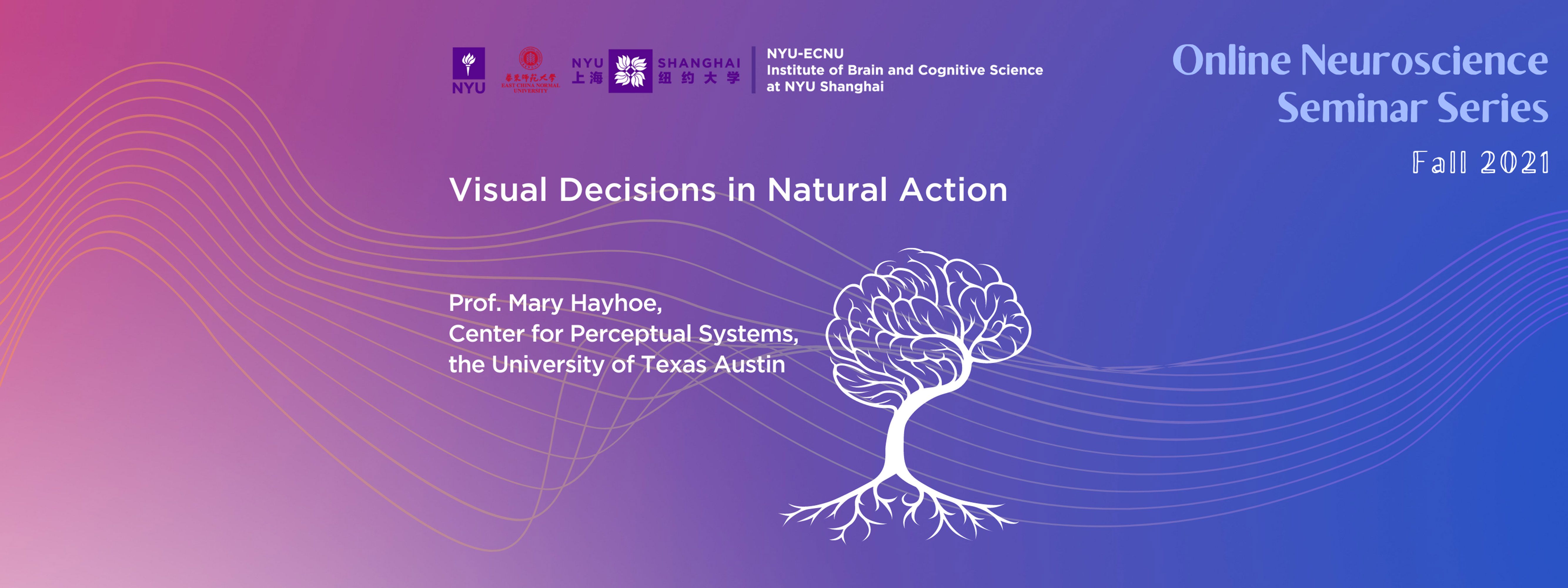 Visual Decisions in Natural Action