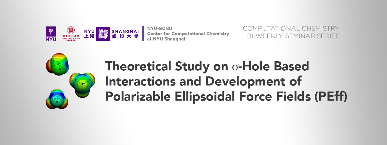Theoretical Study on σ-Hole Based Interactions  