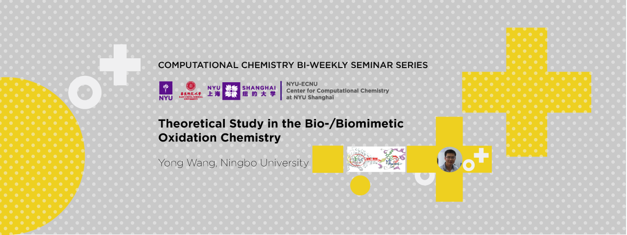 Theoretical Study in the Bio-/Biomimetic Oxidation Chemistry