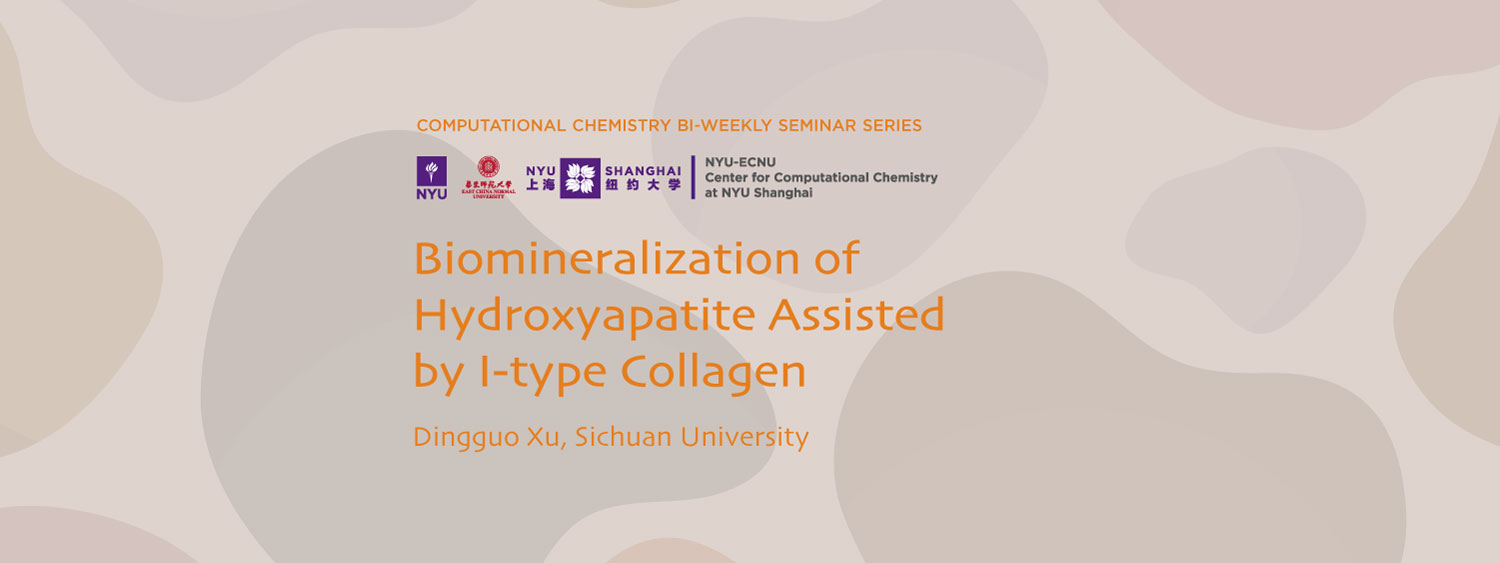 Biomineralization of Hydroxyapatite Assisted by I-type Collagen