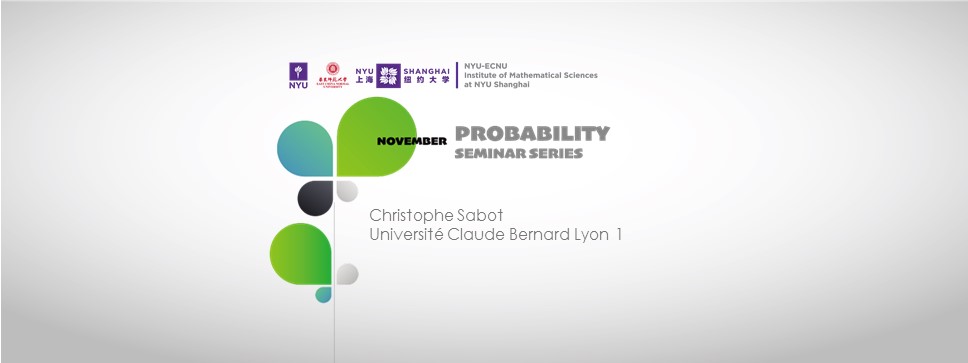 The Edge Reinforced Random Walk, Its Non-Reversible Counterpart, and Related Topics