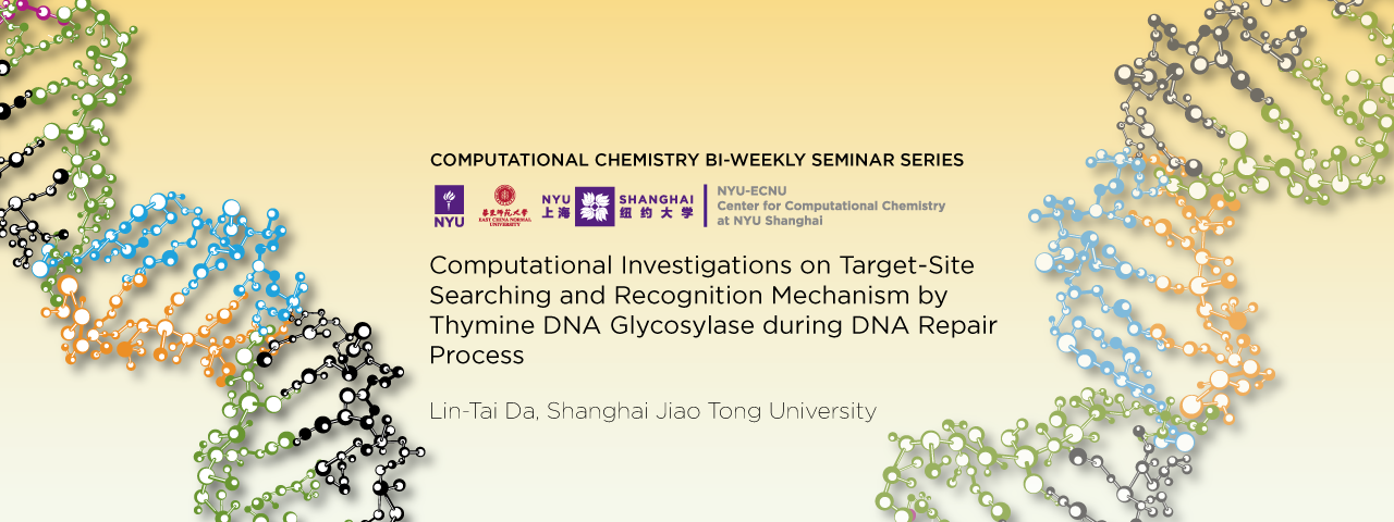 Computational Investigations on Target-Site Searching and Recognition Mechanism