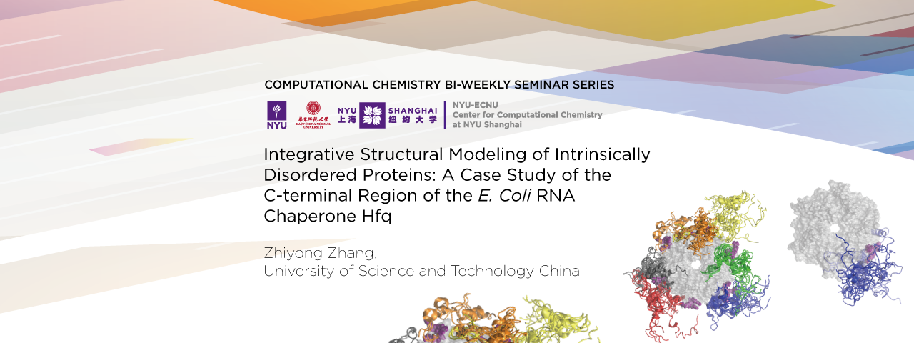 Integrative Structural Modeling of Intrinsically Disordered Proteins