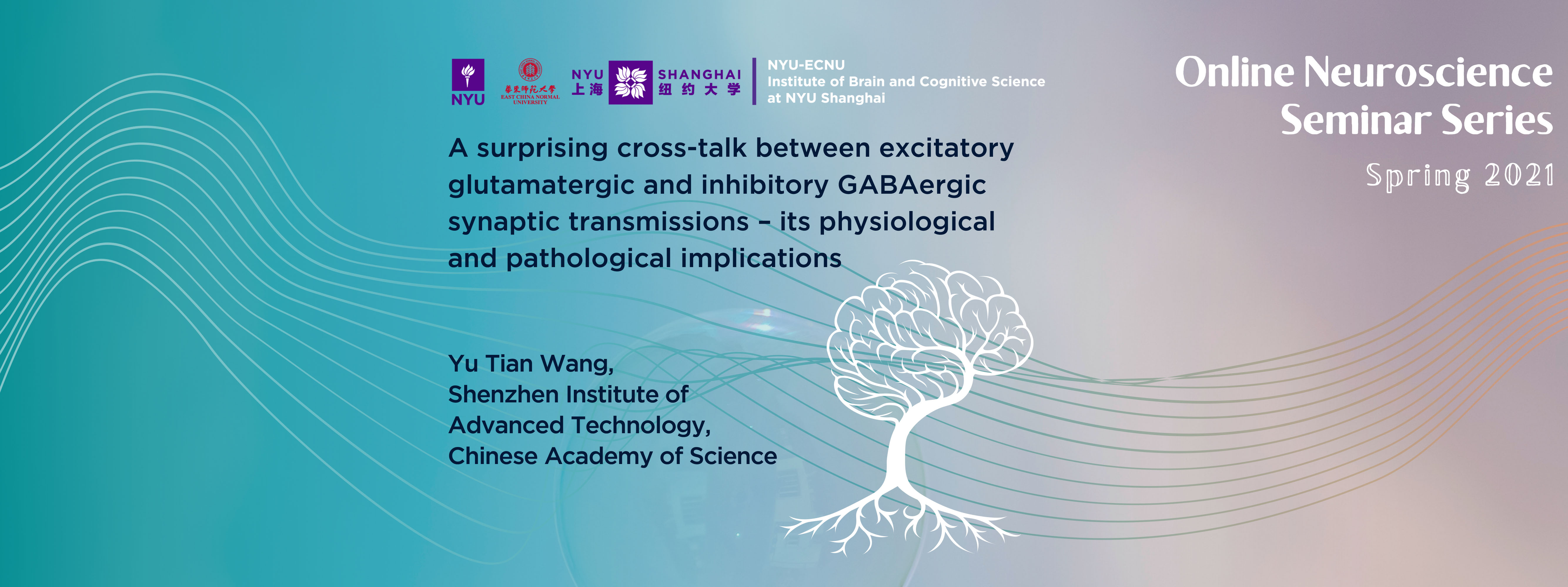 A surprising cross-talk between excitatory glutamatergic and inhibitory GABAergic synaptic transmissions