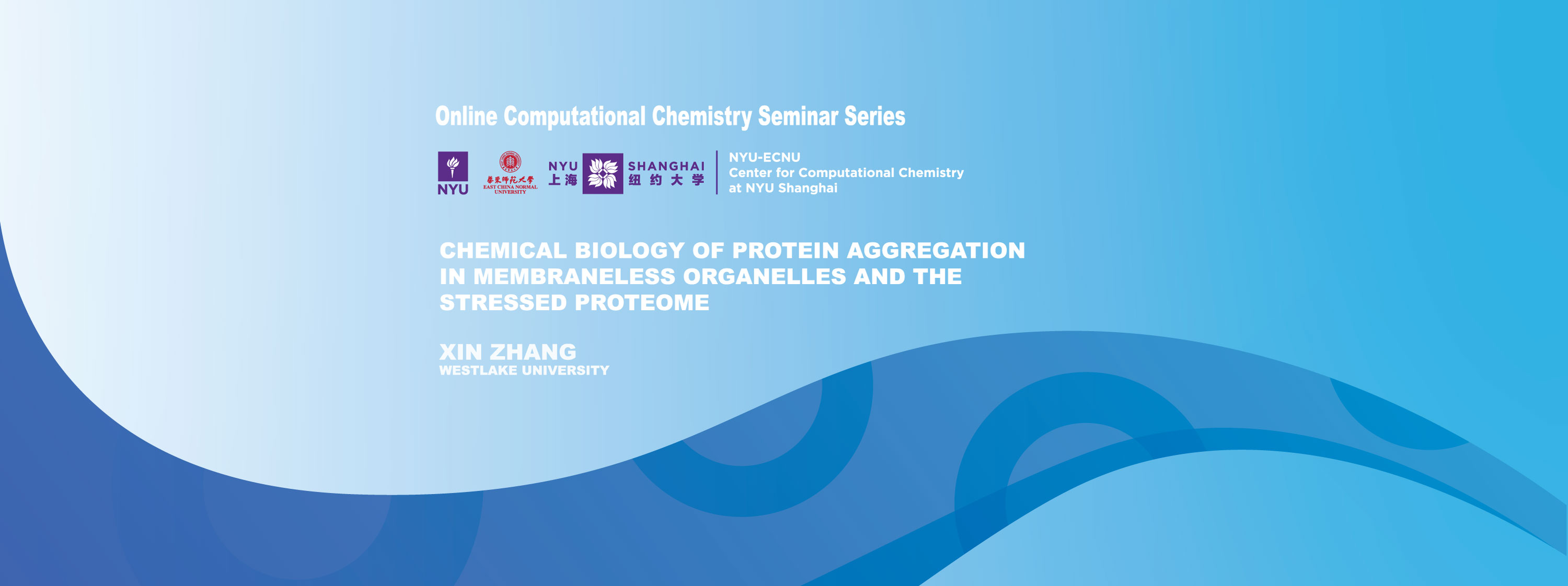 Chemical Biology of Protein Aggregation in Membraneless Organelles and the Stressed Proteome