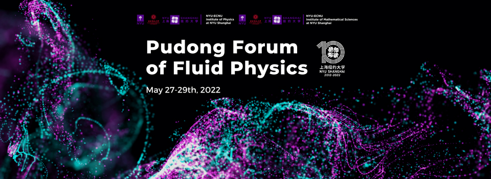 Pudong Forum of Fluid Physics