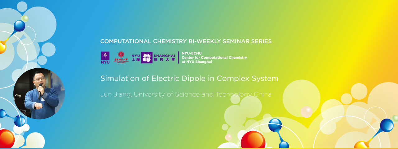 Simulation of Electric Dipole in Complex System
