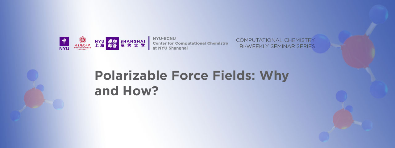 Polarizable Force Fields: Why and How?