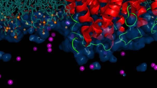 2015 Computational Chemistry Conference of Shanghai Universities