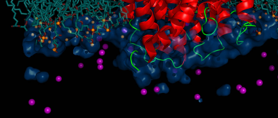 Multiscale Multiphysics and Multidomain Models for Biomolecules