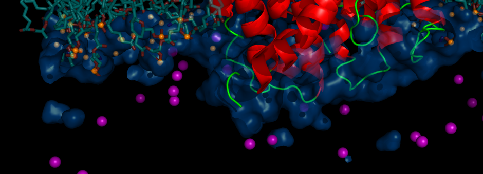 Seminar - Multi-scale Simulation of Multidrug Transporters