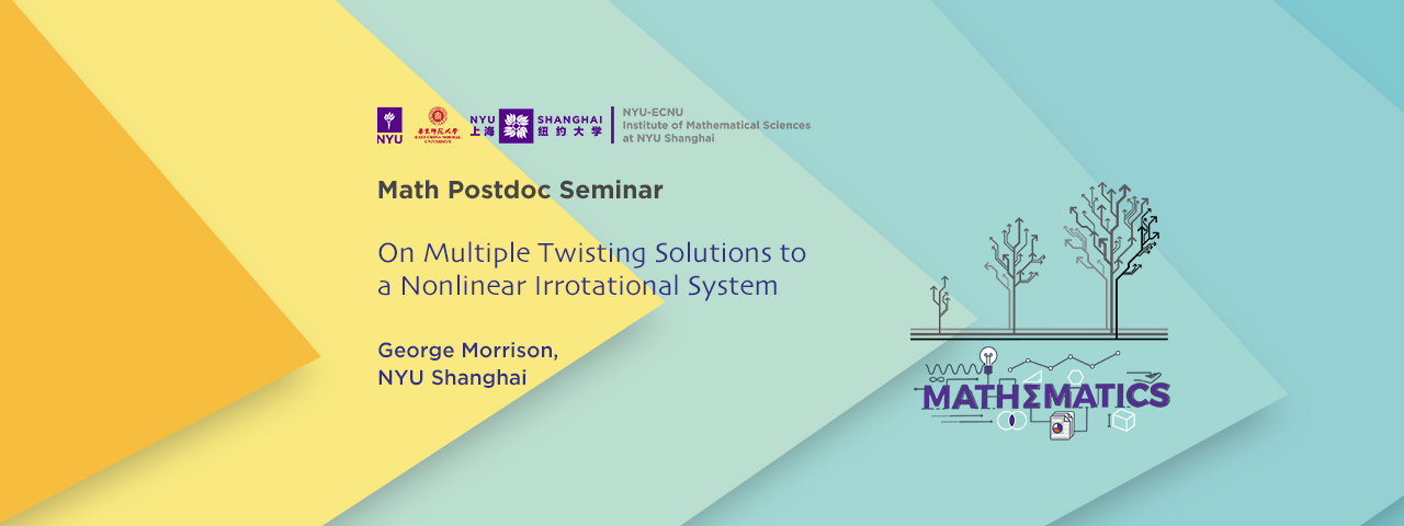 On Multiple Twisting Solutions to a Nonlinear Irrotational System