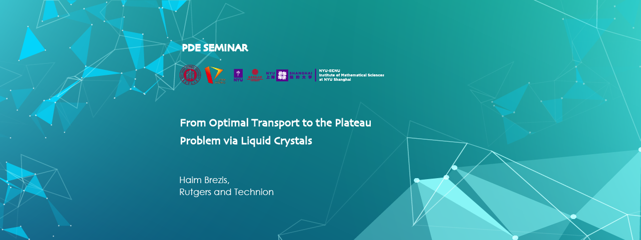 From Optimal Transport to the Plateau Problem via Liquid Crystals