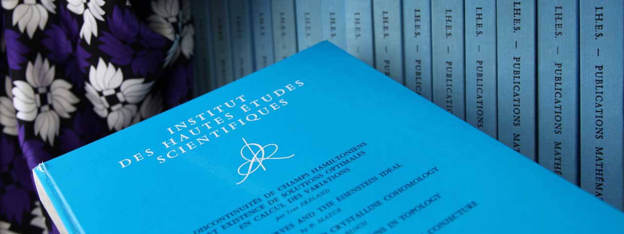 Seminar - Alexander Fribergh: The Ant in “a” Labyrinth