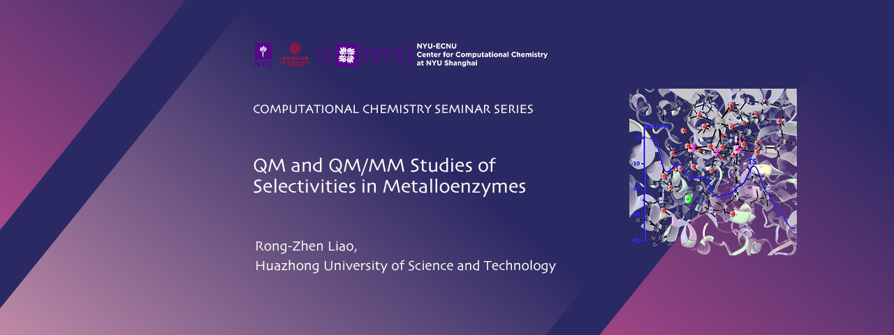 QM and QM/MM Studies of Selectivities in Metalloenzymes