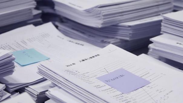 “One of the Guys”: Military Women, Paradoxical Individuality, and the Transformations of the Argentine Army