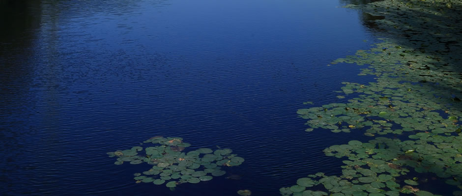 International Forum on Social Policy and Social Development: The Future Prospect of Social Development in China and around the World