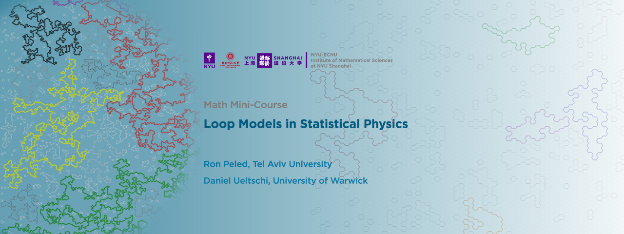 Loop Models in Statistical Physics (Course IV) 