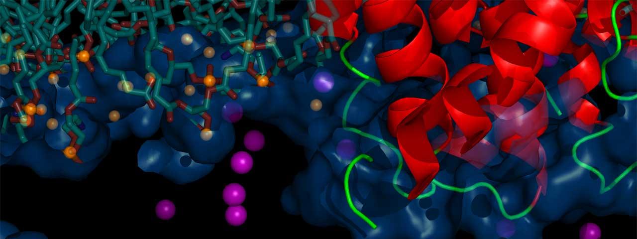 Seminar - Surface Science and Heterogeneous Catalysis: A Theoretical Study