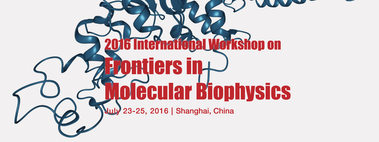 International Workshop on Frontiers in Molecular Biophysics