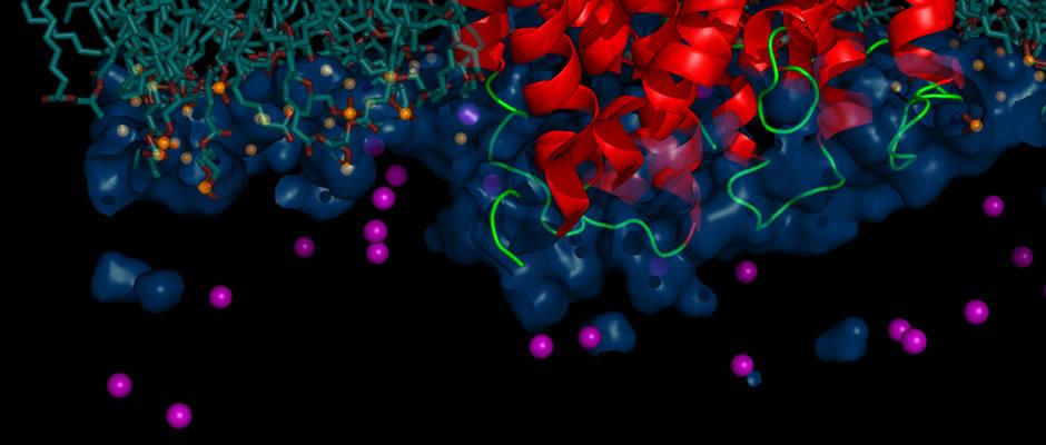 2014 NYUSH Symposium for Undergraduate Research