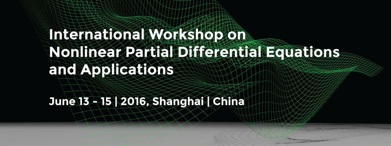 International Workshop on Nonlinear Partial Differential Equations and Applications