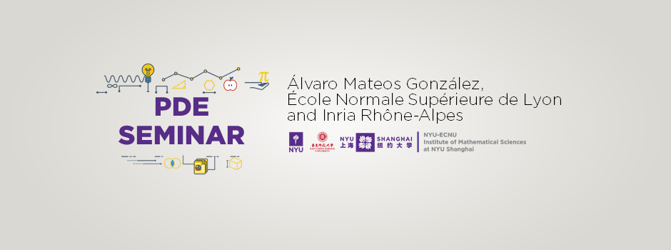 Asymptotic Analysis of PDEs Arising in Biological Processes of Anomalous Diffusion